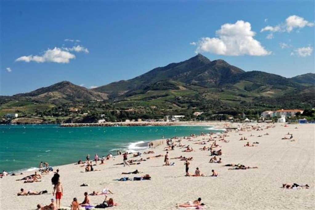 Studio/F1Bis A 50 M De La Plage Argelès-sur-Mer Exteriör bild