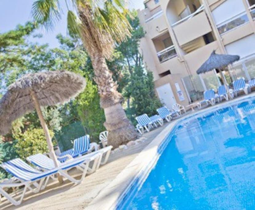 Studio/F1Bis A 50 M De La Plage Argelès-sur-Mer Exteriör bild