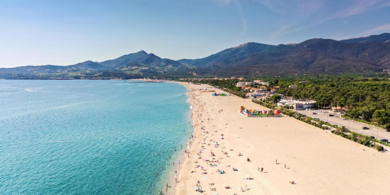 Studio/F1Bis A 50 M De La Plage Argelès-sur-Mer Exteriör bild