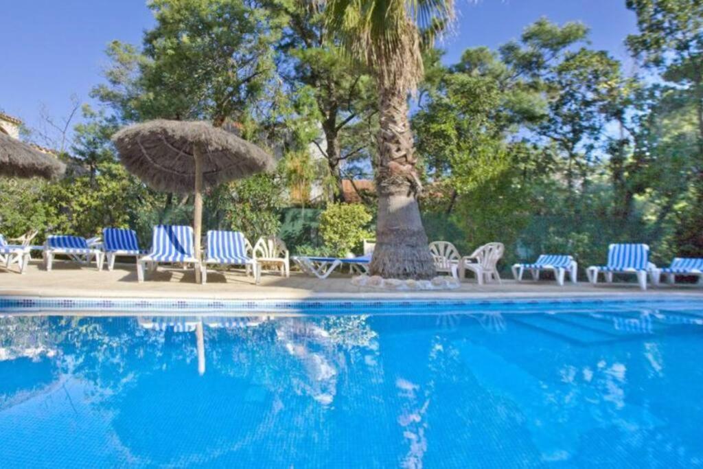 Studio/F1Bis A 50 M De La Plage Argelès-sur-Mer Exteriör bild